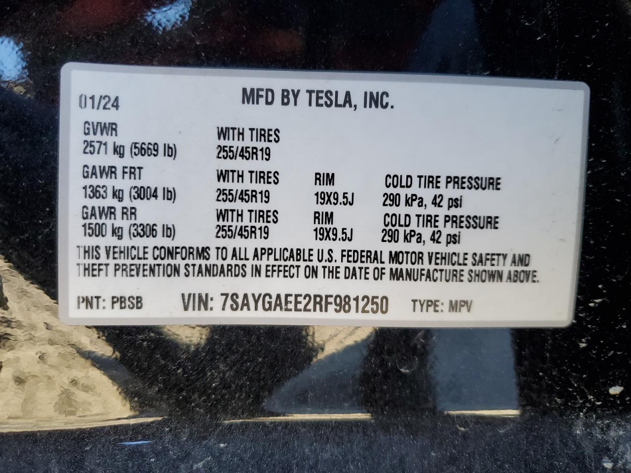 2024 TESLA MODEL Y  VIN:7SAYGAEE2RF981250