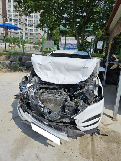 2018 Hyundai Tucson KMHJ2815GJU613631 VIN:KMHJ2815GJU613631