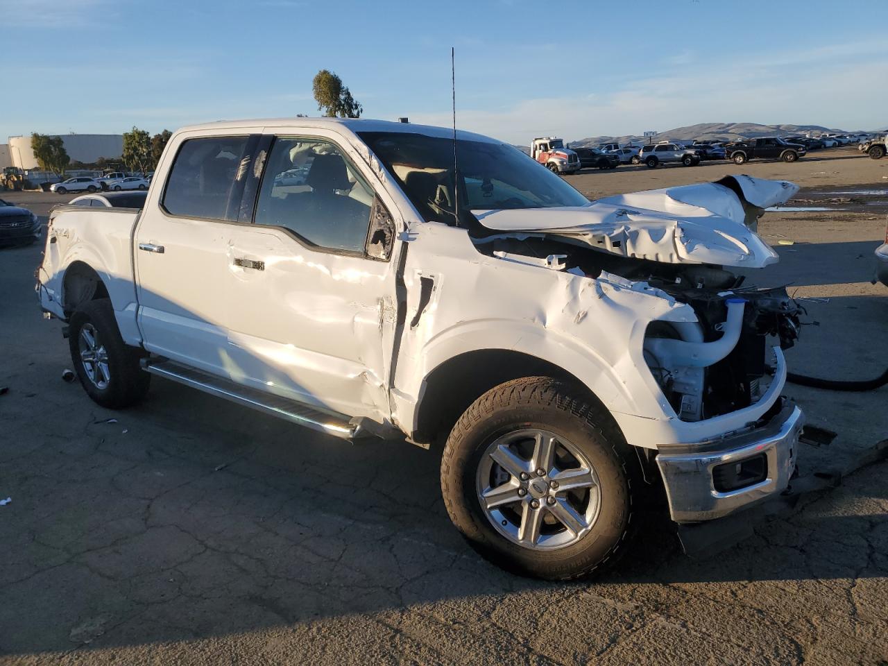 2024 FORD F150 XLT VIN:1FTFW3L89RKE36083