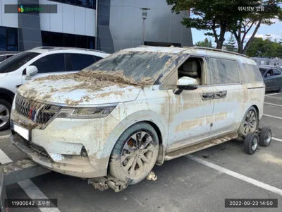 2020 Kia Carnival KNANC81BBMS002785 VIN:KNANC81BBMS002785