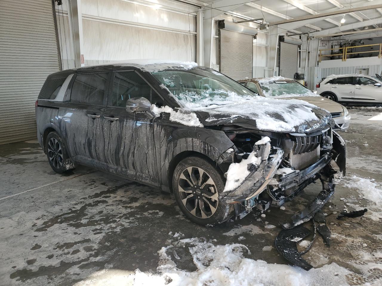2024 KIA CARNIVAL EX VIN:KNDNC5H3XR6313818