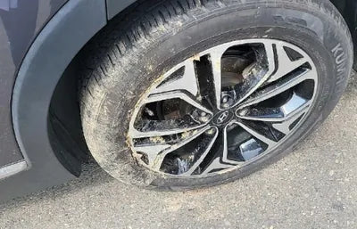 2019 Hyundai Santa FE 521KMKMHS381CDKU0 VIN:521KMKMHS381CDKU0