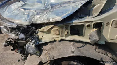 2021 Kia Carnival KNANC813BMS119768 VIN:KNANC813BMS119768