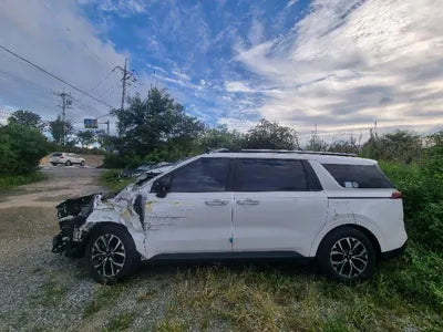 2021 Kia Carnival KNANB81BBMS069976 VIN:KNANB81BBMS069976