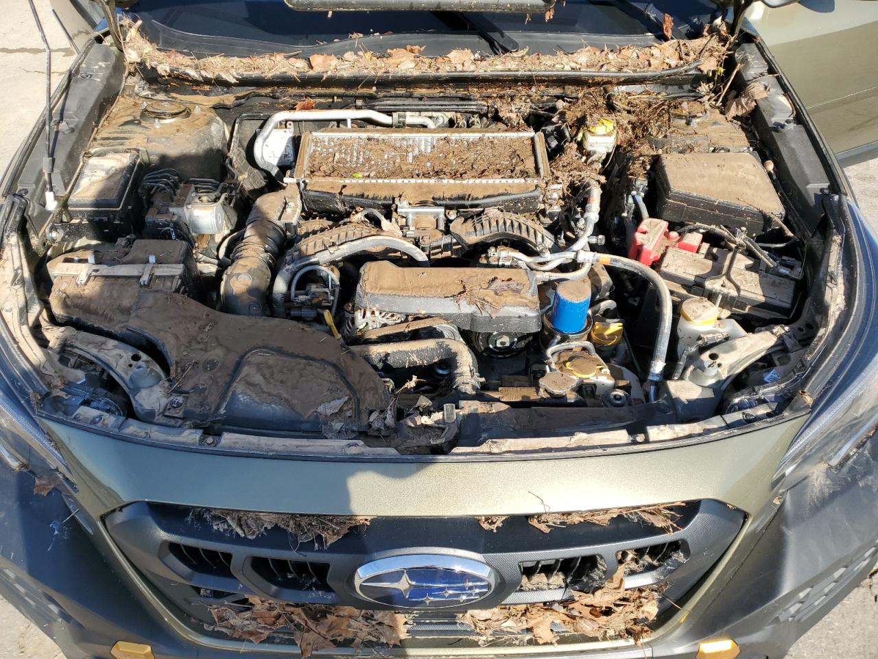 2024 SUBARU OUTBACK WILDERNESS VIN:4S4BTGUD1R3185608