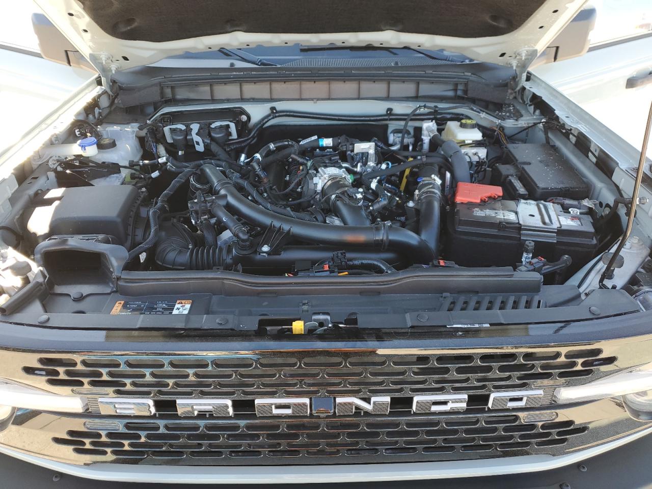 2024 FORD BRONCO WILDTRAK VIN:1FMEE2BP6RLA70218