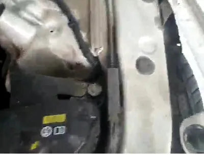 2015 BMW 520 WBA5E510XFG064918 VIN:WBA5E510XFG064918