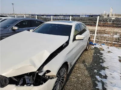 2019 BMW 520 WBAJK7108KGL29042 VIN:WBAJK7108KGL29042