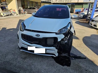 2016 Kia Sportage KNAPN813BGK034007 VIN:KNAPN813BGK034007
