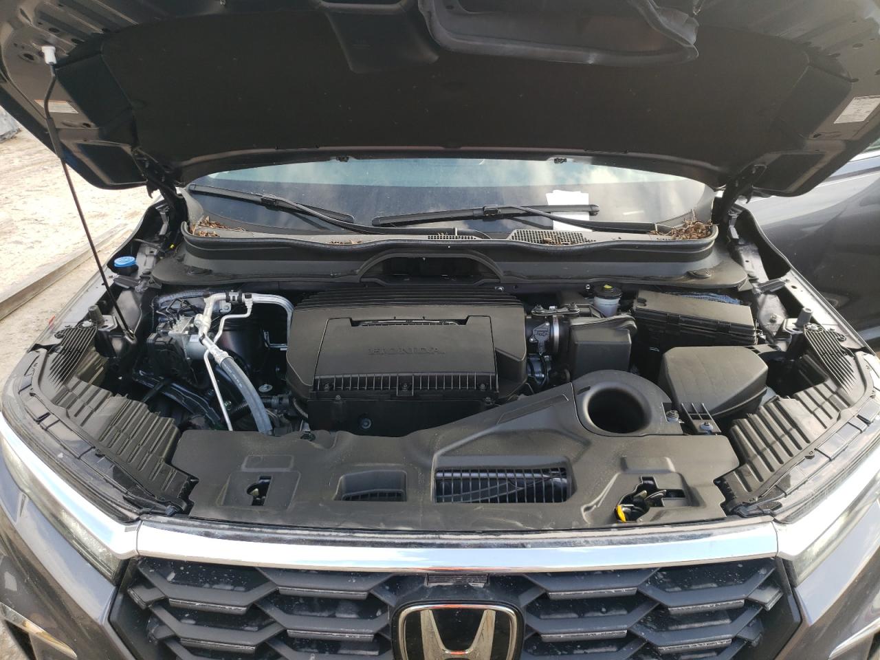 2023 HONDA PILOT EXL VIN:5FNYG2H41PB007665
