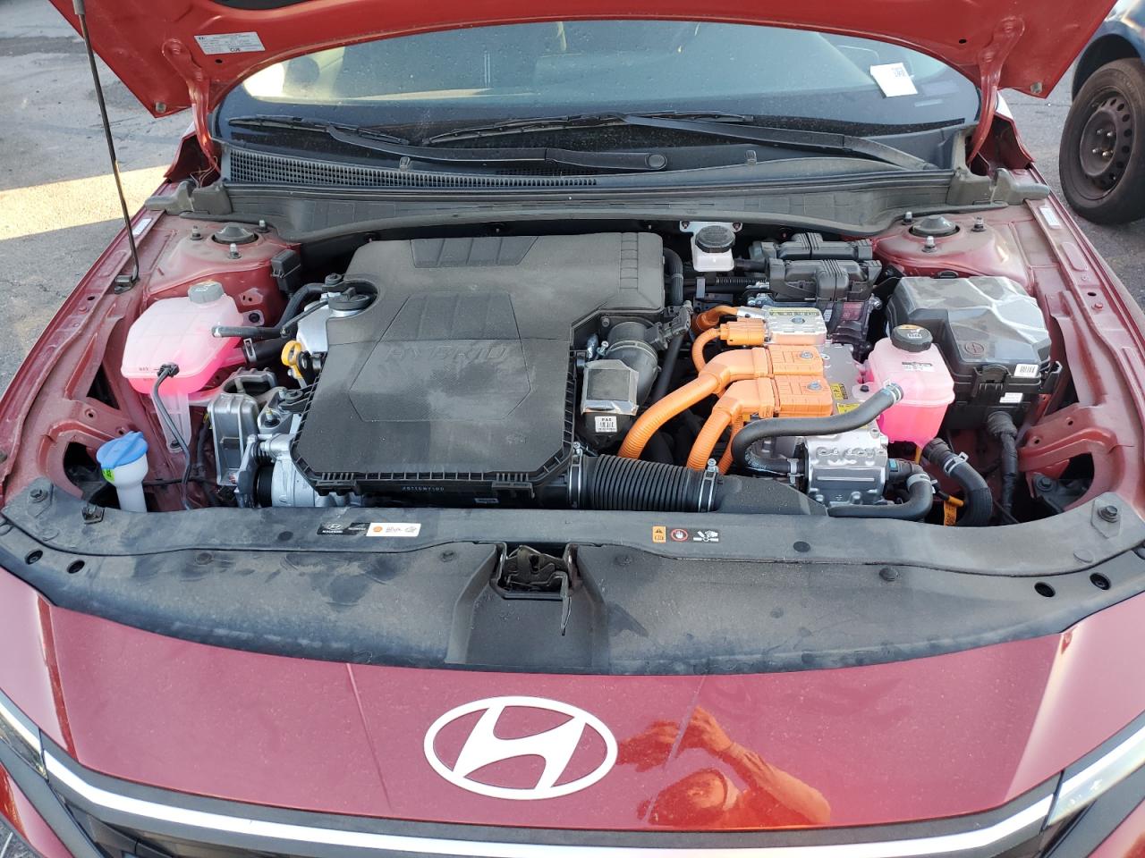 2024 HYUNDAI ELANTRA BLUE VIN:KMHLM4DJXRU104184