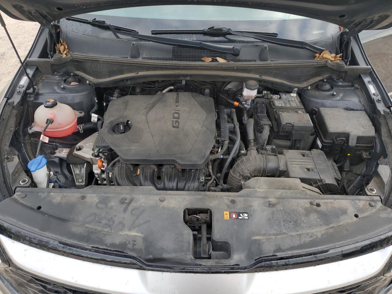 2023 KIA SPORTAGE EX VIN:5XYK33AF8PG099644