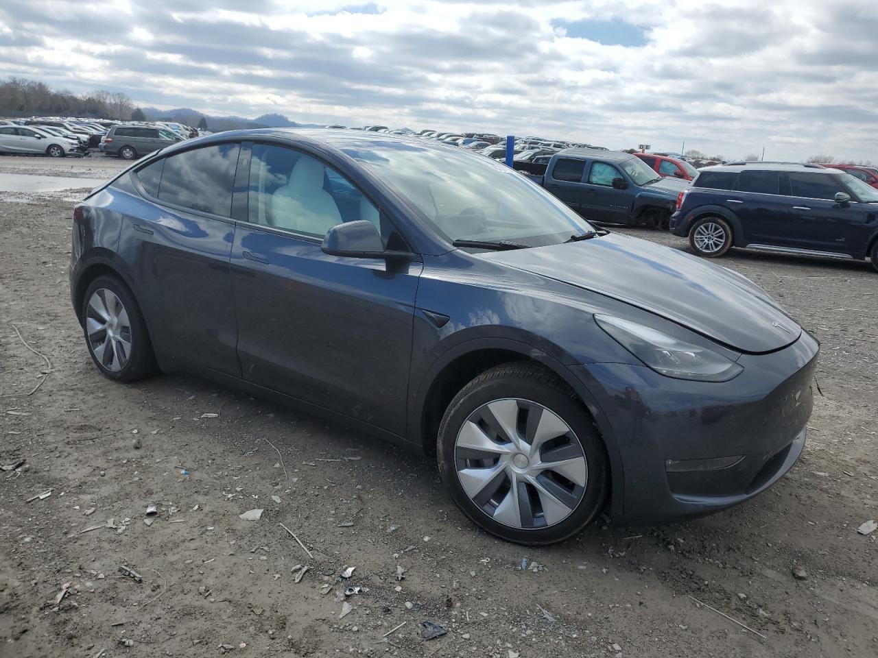 2024 TESLA MODEL Y  VIN:7SAYGDEE6RA239271