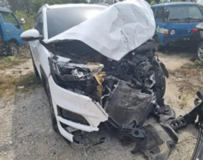 2019 Hyundai Tucson KMHJ3817HKU153889 VIN:KMHJ3817HKU153889
