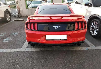 2019 Ford Mustang 1FA6P8TH1K5165654 VIN:1FA6P8TH1K5165654