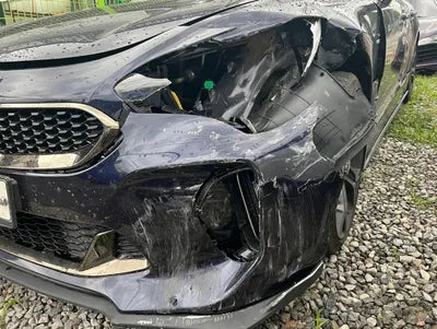 2019 Kia Stinger KNAE351ADKS045666 VIN:KNAE351ADKS045666