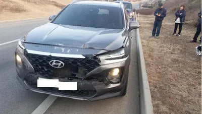 2019 Hyundai Santa FE KMHS281BBKU107541 VIN:KMHS281BBKU107541