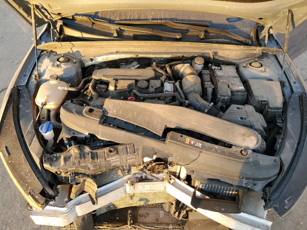 2024 KIA K5 LXS VIN:5XXG14J25RG264734