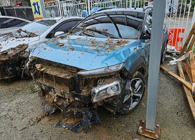2019 Hyundai Kona KMHK7815GKU291067 VIN:KMHK7815GKU291067