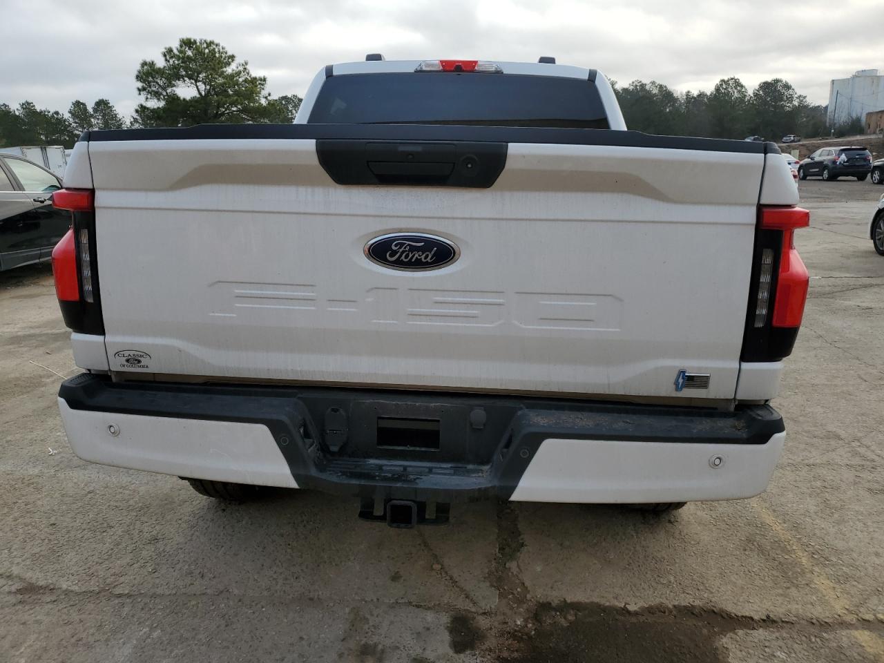 2023 FORD F150 LIGHTNING PRO VIN:1FTVW1ELXPWG63466