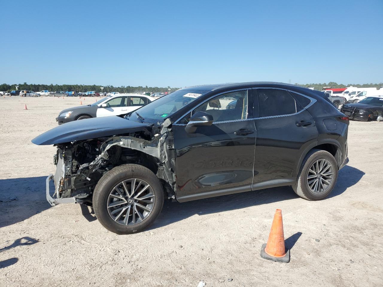 2024 LEXUS NX 250 BASE VIN:2T2ADCAZ9RC013724