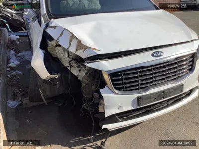 2020 Kia Carnival KNAMB81ABLS655217 VIN:KNAMB81ABLS655217