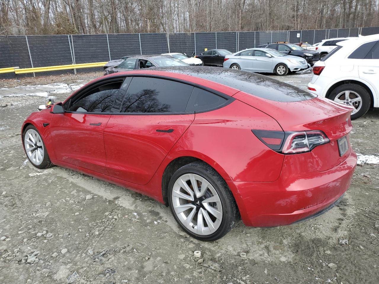 2022 TESLA MODEL 3  VIN:5YJ3E1EAXNF184894