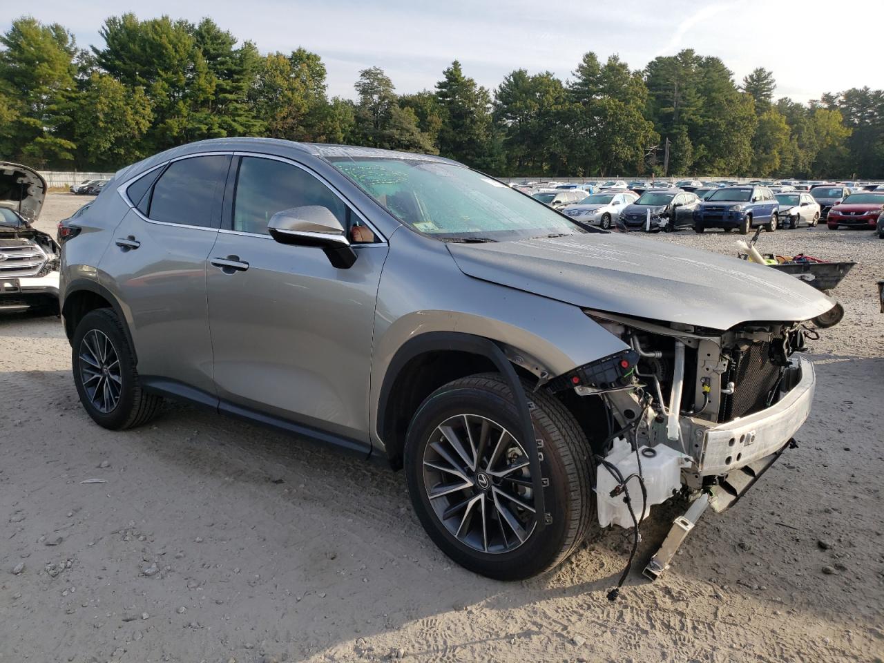2022 LEXUS NX 250 VIN:2T2GDCEZ6NC001934