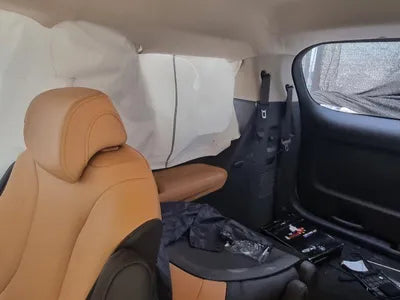 2020 Kia Carnival KNANC81BBMS015175 VIN:KNANC81BBMS015175