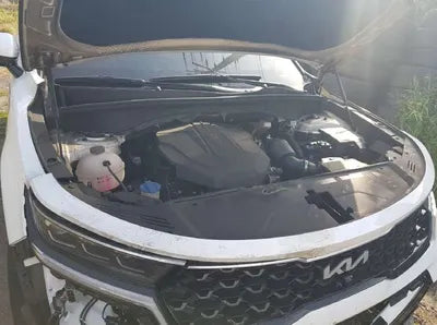 2021 Kia Sorento KNARK81BHNA133310 VIN:KNARK81BHNA133310
