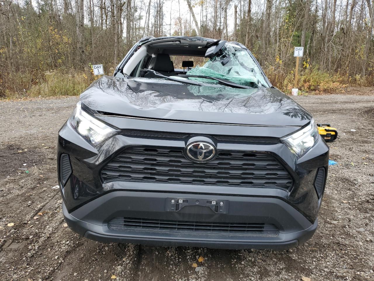 2023 TOYOTA RAV4 XLE VIN:2T3R1RFVXPC351842