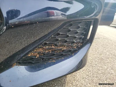 2022 BMW 840 WBAGV4108NCJ40788 VIN:WBAGV4108NCJ40788