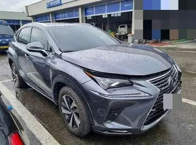 2019 Lexus NX 300 JTJBJRBZ8K2118503 VIN:JTJBJRBZ8K2118503