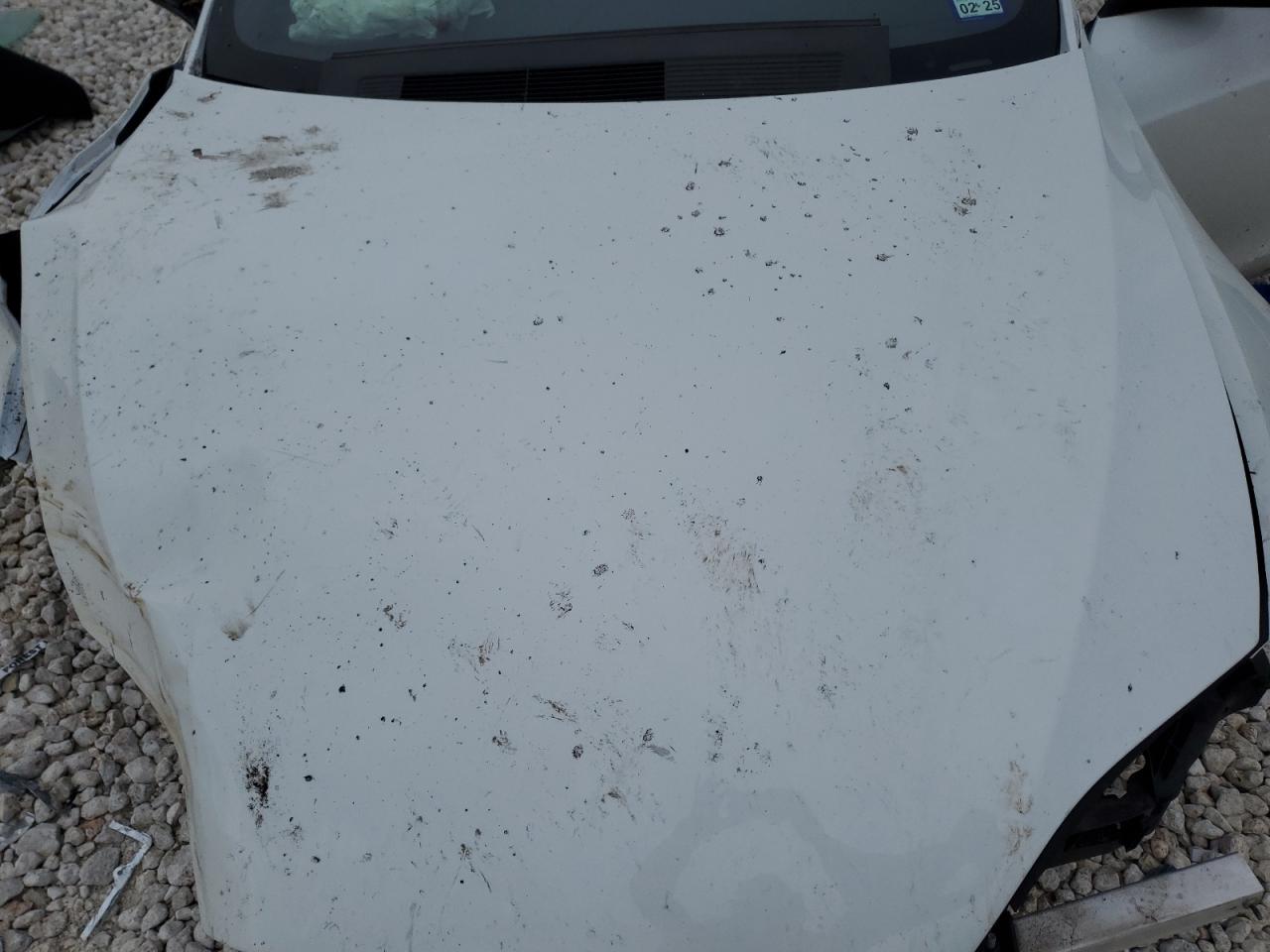 2023 TESLA MODEL S  VIN:5YJSA1E60PF503113