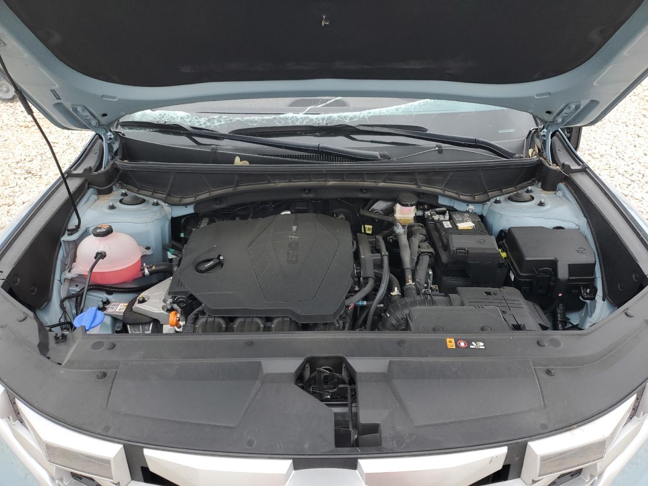 2024 HYUNDAI SANTA CRUZ SEL VIN:5NTJBDAE5RH098749