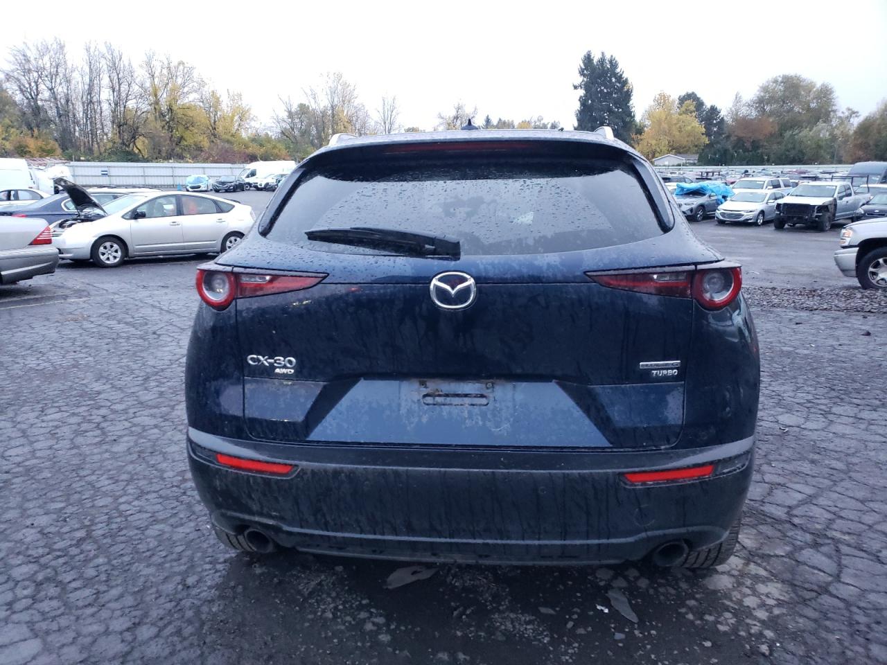 2022 MAZDA CX-30 PREMIUM PLUS VIN:3MVDMBEY3NM417289