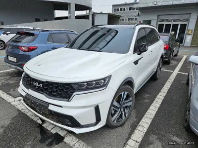 2023 Kia Sorento KNARL81GBPA135233 VIN:KNARL81GBPA135233
