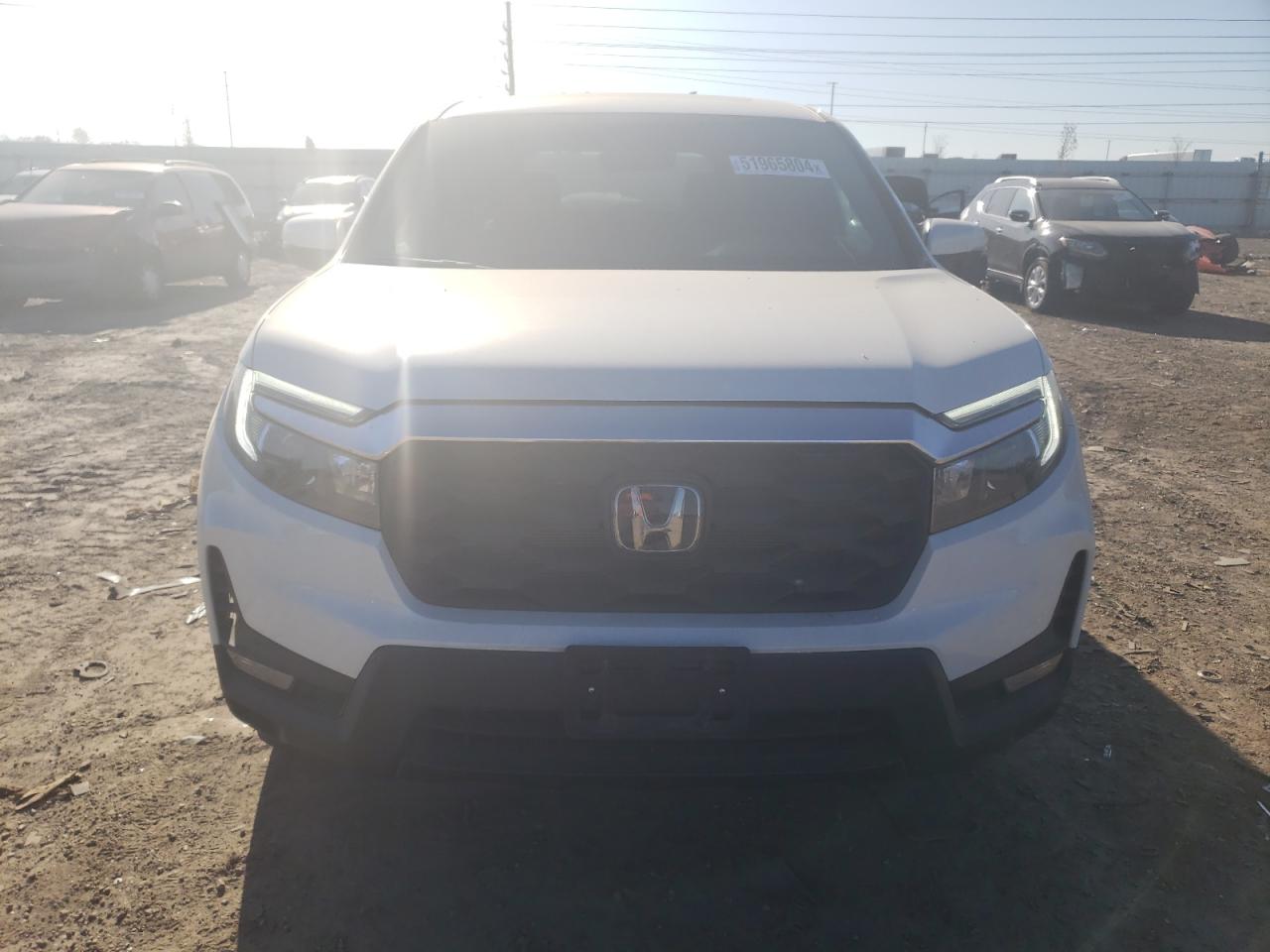 2023 HONDA PASSPORT EXL VIN:5FNYF8H52PB002523