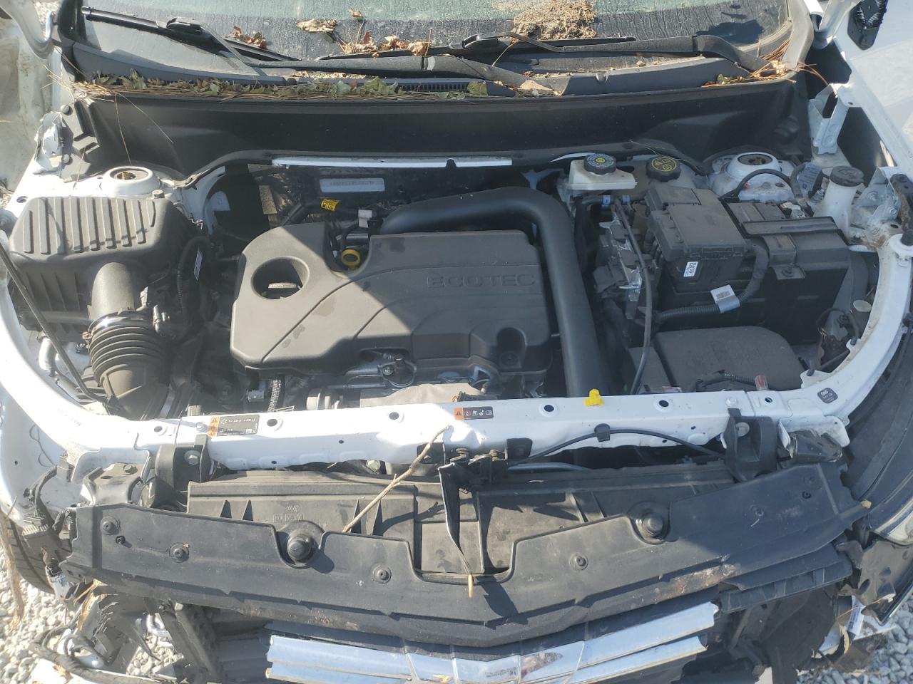 2023 CHEVROLET EQUINOX LS VIN:3GNAX5EG3PL259279