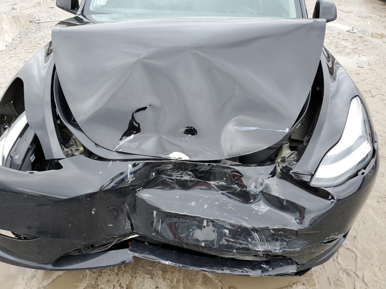 2023 TESLA MODEL Y  VIN:7SAYGDEE7PA030344