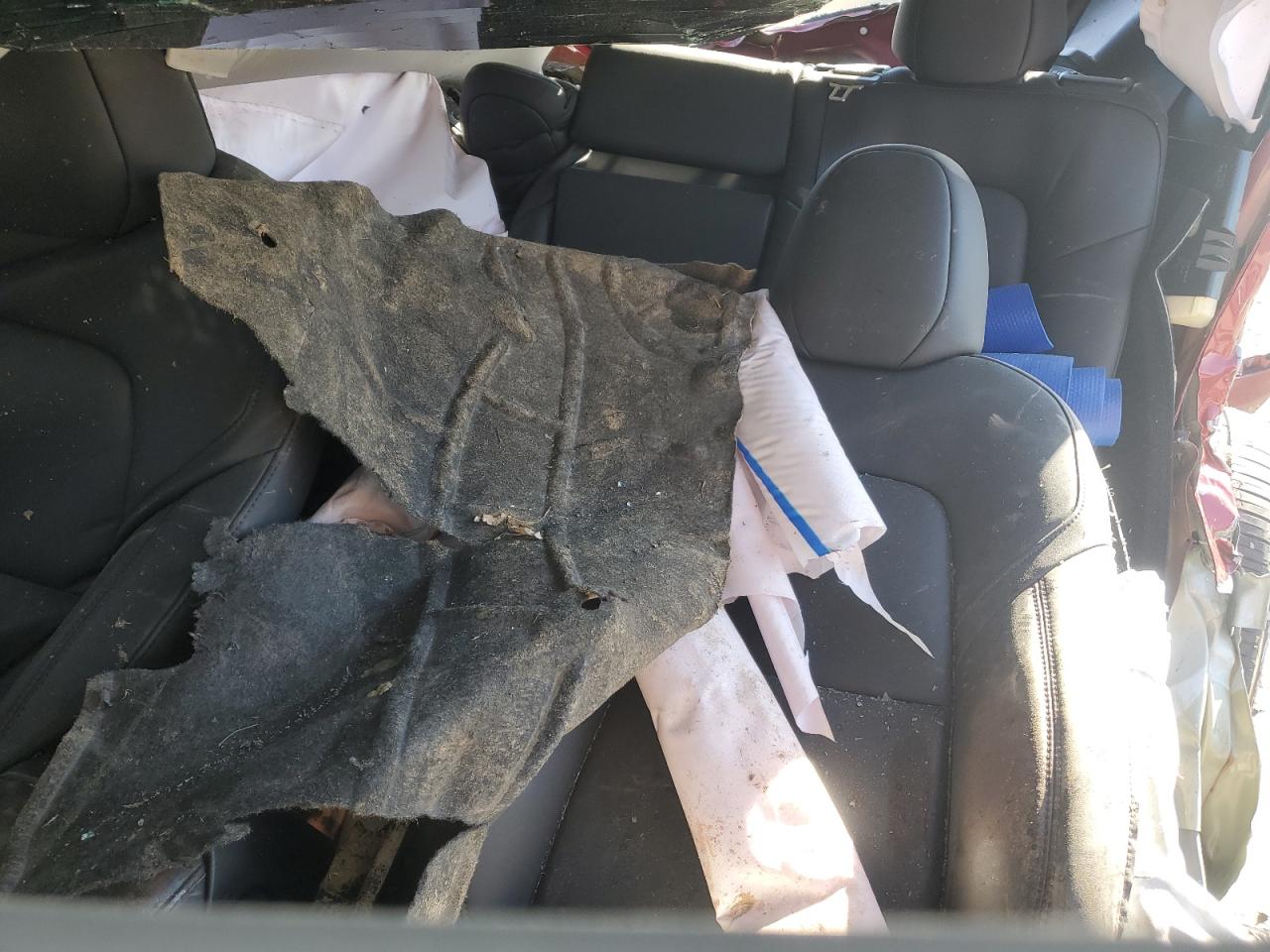 2024 TESLA MODEL Y  VIN:7SAYGDEE5RA223790