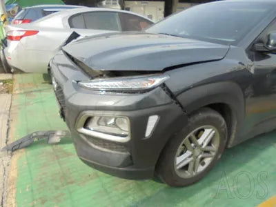 2019 Hyundai Kona KMHK4815GKU305224 VIN:KMHK4815GKU305224