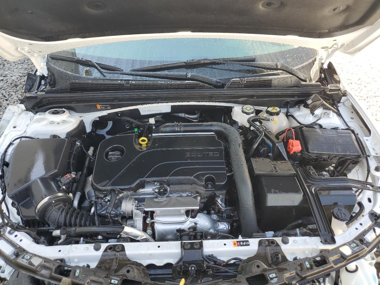 2023 CHEVROLET MALIBU LT VIN:1G1ZD5ST0PF204166