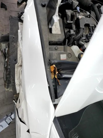 2019 Lexus UX 250 JTHU9JBH8K2001192 VIN:JTHU9JBH8K2001192