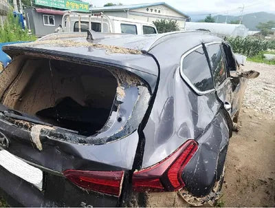 2019 Hyundai Santa FE 862KMKMHS381BBKU1 VIN:862KMKMHS381BBKU1