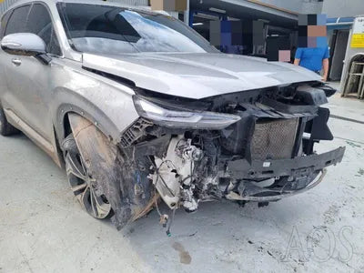 2020 Hyundai Santa FE KMHS381BDLU291516 VIN:KMHS381BDLU291516