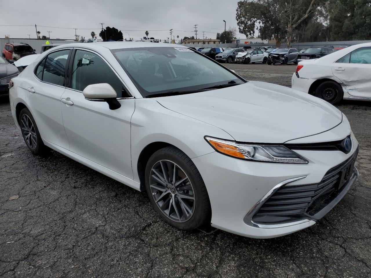 2022 TOYOTA CAMRY XLE VIN:4T1F31AKXNU597760