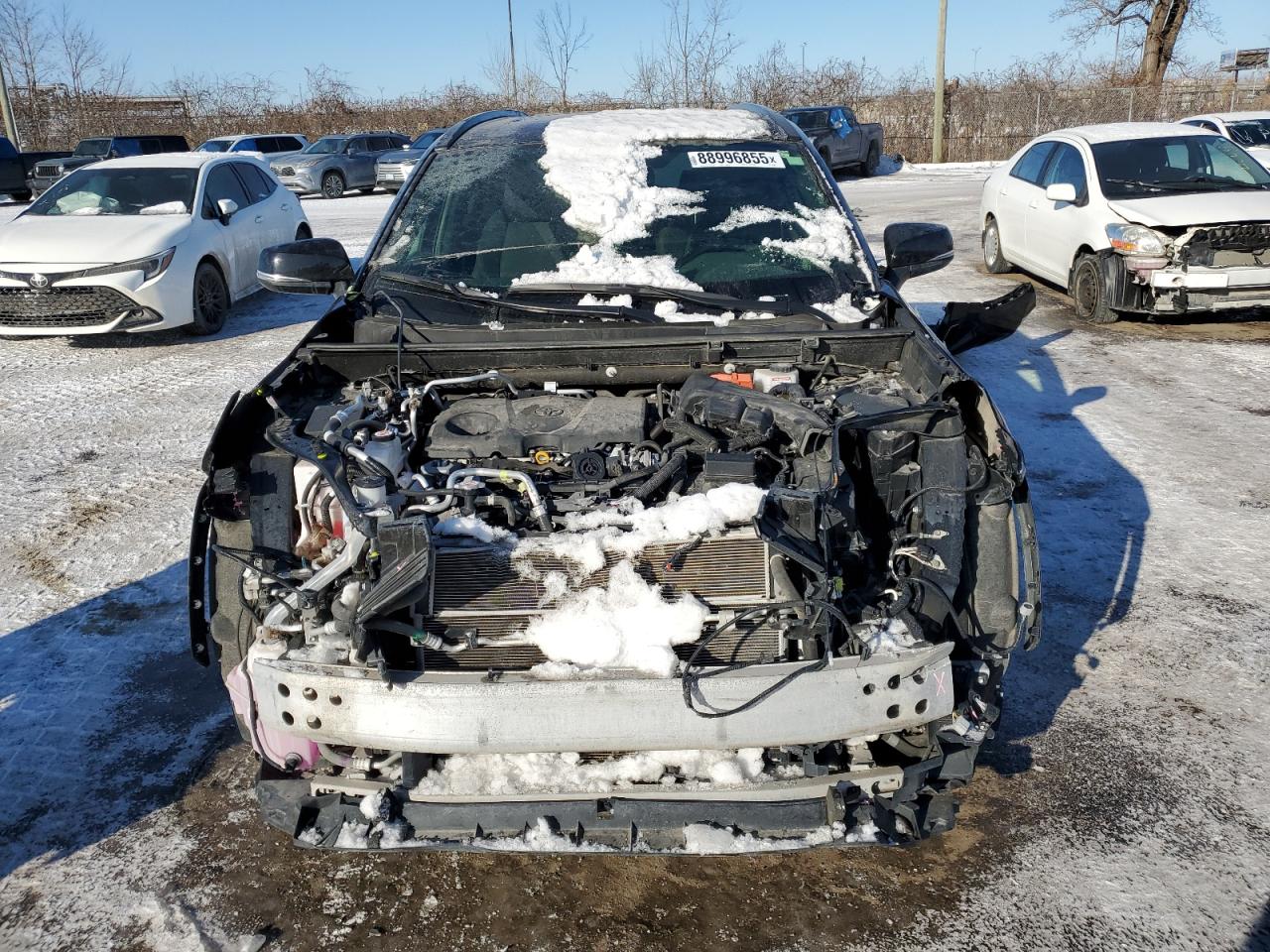 2023 TOYOTA RAV4 PRIME XSE VIN:JTMGB3FVXPD124258