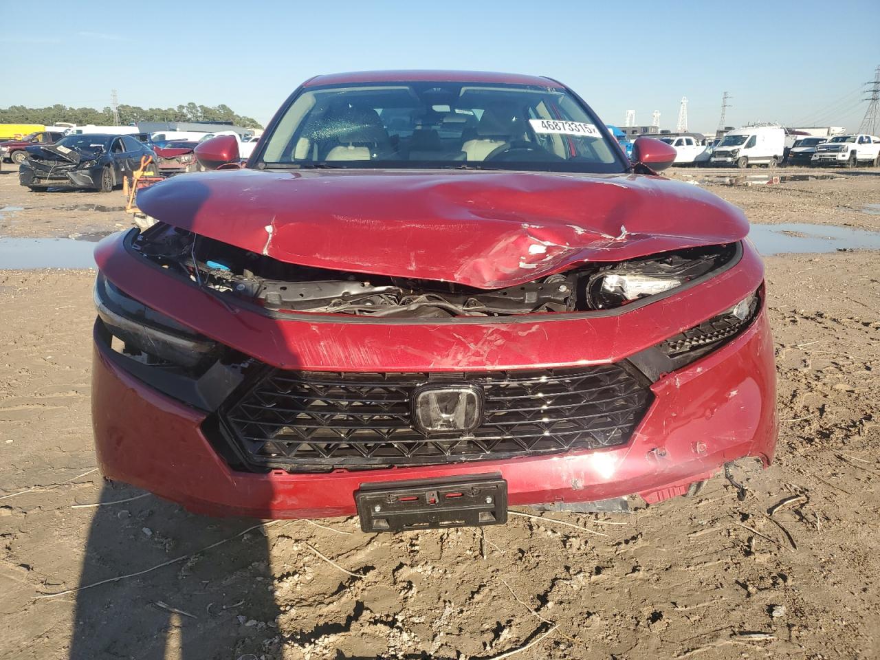 2023 HONDA ACCORD LX VIN:1HGCY1F24PA050961