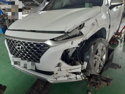 2019 Hyundai Santa FE KMHS581ABLU247207 VIN:KMHS581ABLU247207